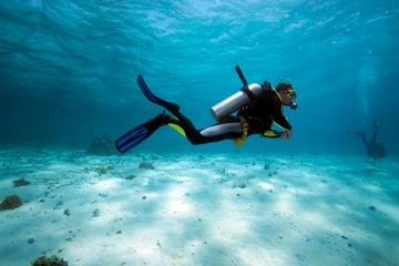 Bermuda Shore Excursion: 2-Tank Certified Scuba Dive