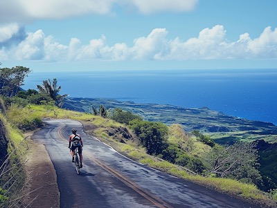 Biking Tours