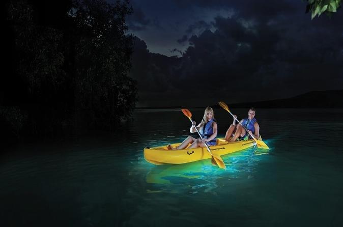 Bioluminescent Mosquito Bay in Puerto Rico