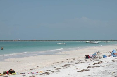 Best Beaches Near Tampa Florida 