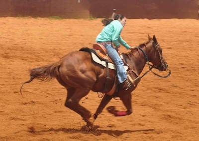 CJM Stables in Kauai