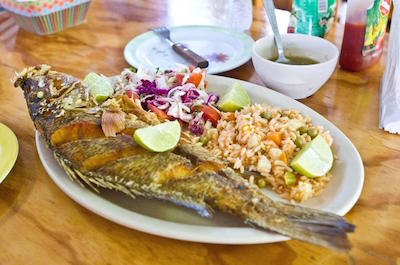 Cultural and Food Tours in Cozumel
