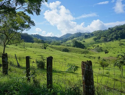 Curi Cancha Reserve in Monteverde