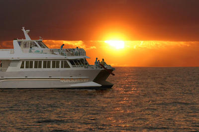 Dinner Cruises in Maui