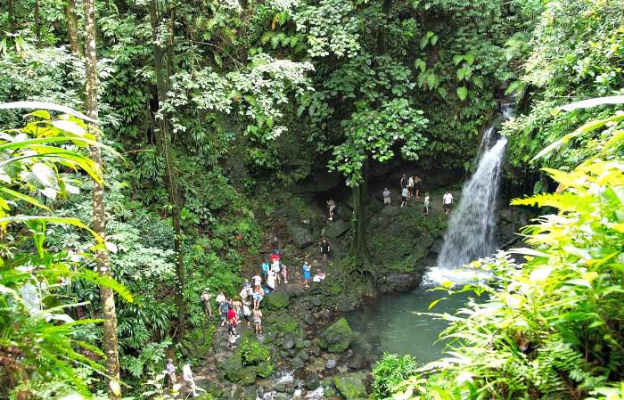 Emerald Pool in Dominica