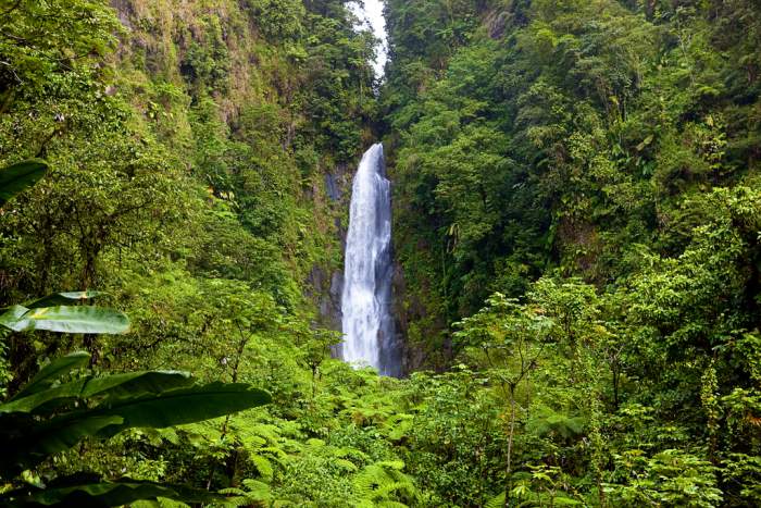 Trafalgar Falls in Dominica