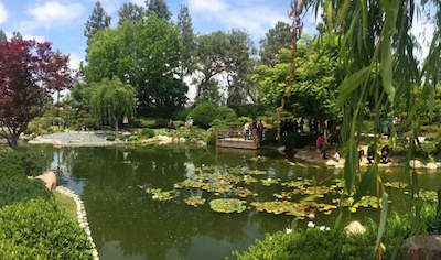 Earl Burns Miller Japanese Garden in Long Beach