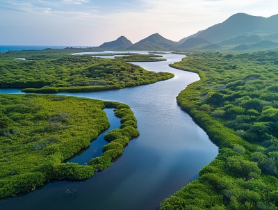 Estero Ecological Reserve in Mazatlan