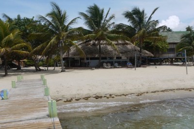 Green Parrot Beach Houses in Placencia Belize