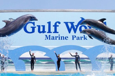 Gulf World Marine Park in Panama City