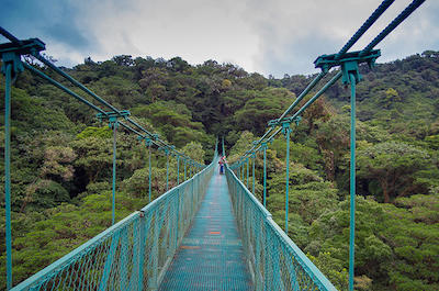 Hiking Tours in Monteverde