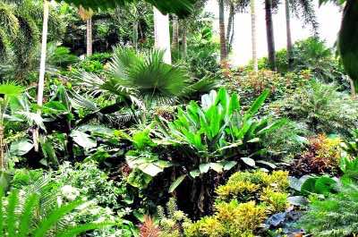 Hunte's Gardens in Barbados