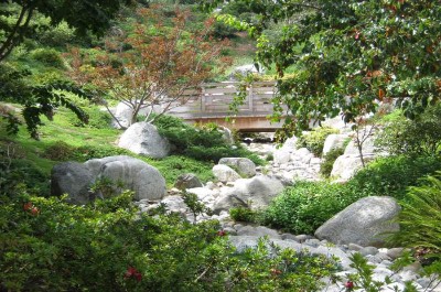 Japanese Friendship Garden in San Diego