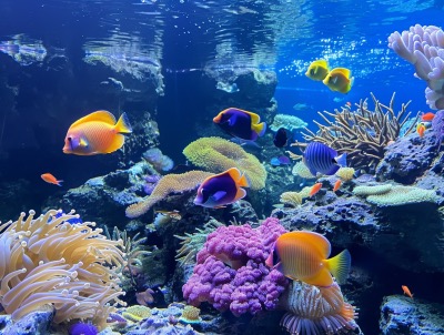 Malta National Aquarium