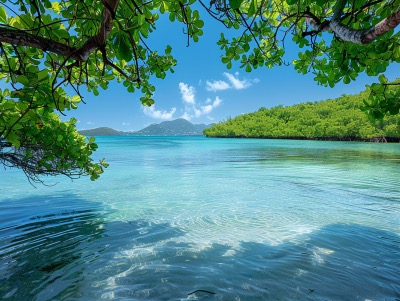 St. Thomas Mangrove Lagoon