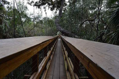Myakka Canopy Walkway in Sarasota