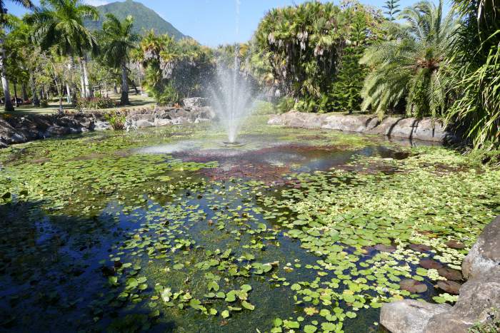 Nevis Botanical Gardens