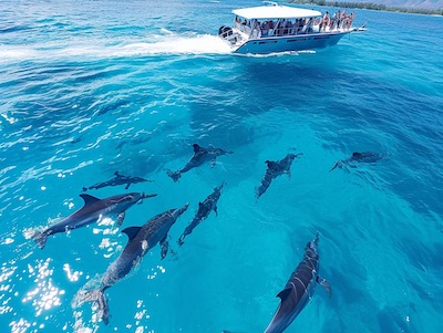 Oahu Catamaran Cruise: Wildlife, Snorkeling and Hawaiian Buffet