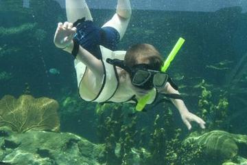 Ocean World Adventure Park in Puerto Plata