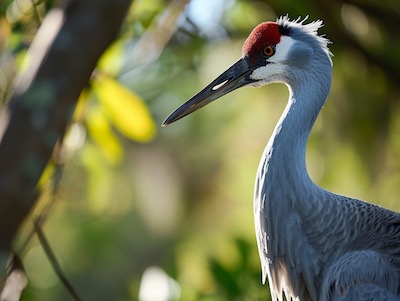 Okeeheelee Park in West Palm Beach