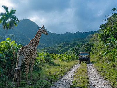 puerto-plata-safari-adventure