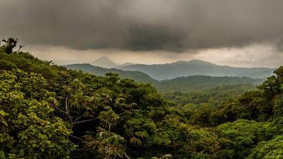 Reserva Bosque Nuboso Santa Elena aka Santa Elena Cloud Forest Reserve in Monteverde