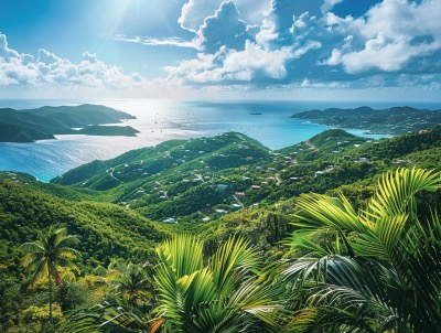 Sage Mountain Tortola British Virgin Islands