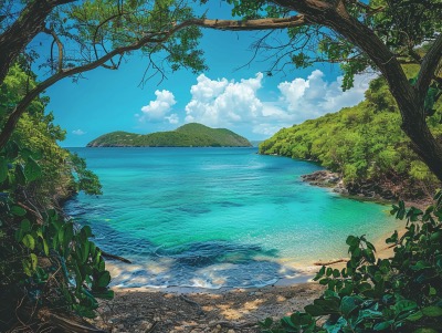 Salt Pond Bayin St. John