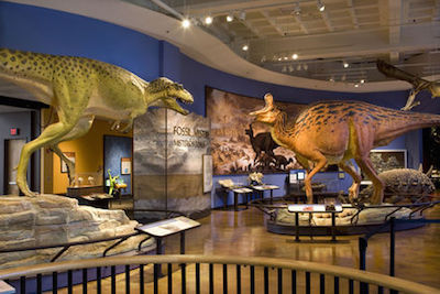 San Diego Natural History Museum