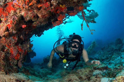 Scuba diving in Cancun