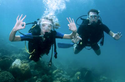 Guanacaste Catalina Island Diving Or Snorkeling Tour Guanacaste Catalina Island Diving Or Snorkeling Tour