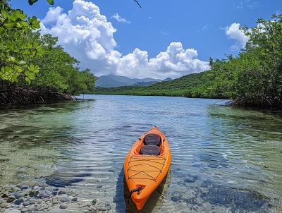 Mangrove Lagoon Kayak and Snorkel Tour