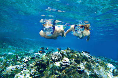 Snorkeling in Maui