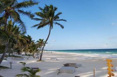 The Beach Tulum resort