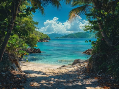 Virgin Islands National Parkin St. John