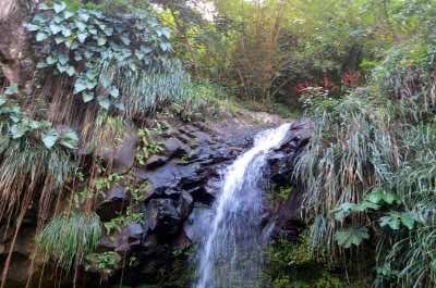 Annandale Falls in Grenada