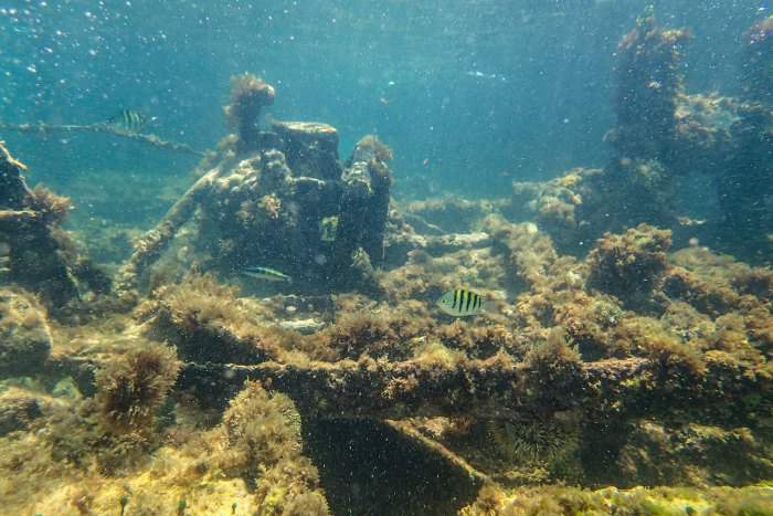 Shipwreck in Aruba