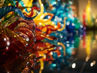 Chihuly Collection in St. Petersburg