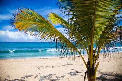 Condado Beach