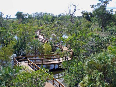 Daggerwing Nature Center in Boca Raton