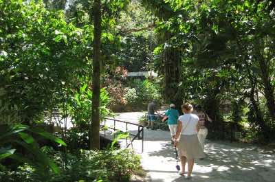 Diamond Botanical Gardens St. Lucia