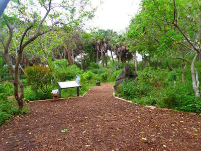Gumbo Limbo Nature Center in Boca Raton