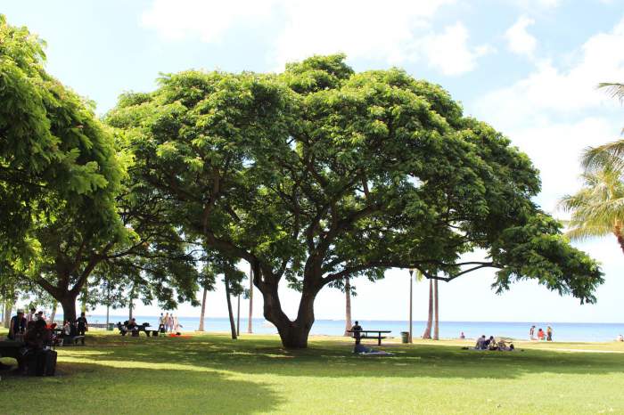 Hawaii Travel - Big Island