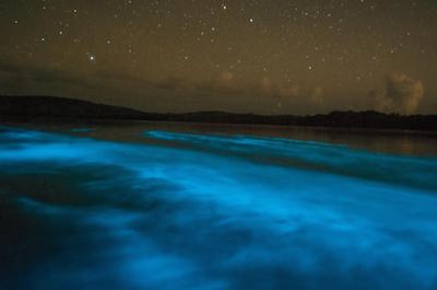 la parguera bioluminescent bay