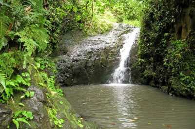Maunawili Falls in Oahu
