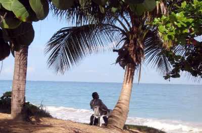 Ocean Park Beach