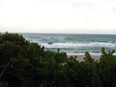Red Reef Park in Boca Raton