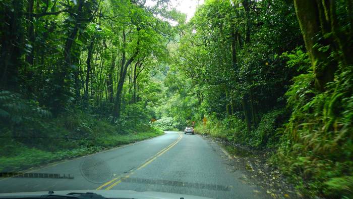 Road to Hana, Maui