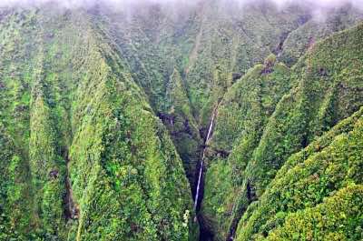 Sacred Falls  in Oahu