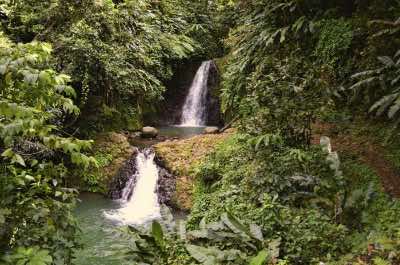 Seven Sisters Falls in Grenada